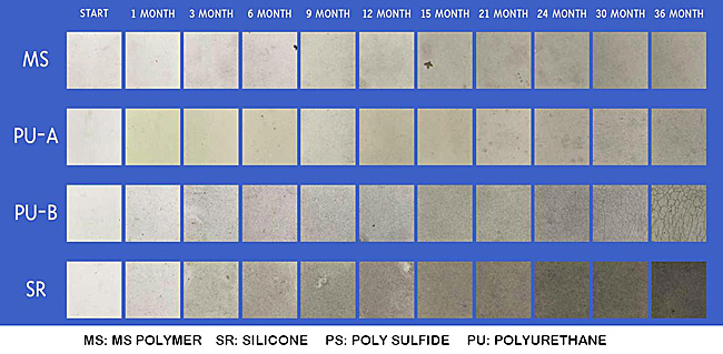 MSPoly-Perform-WeatherLG